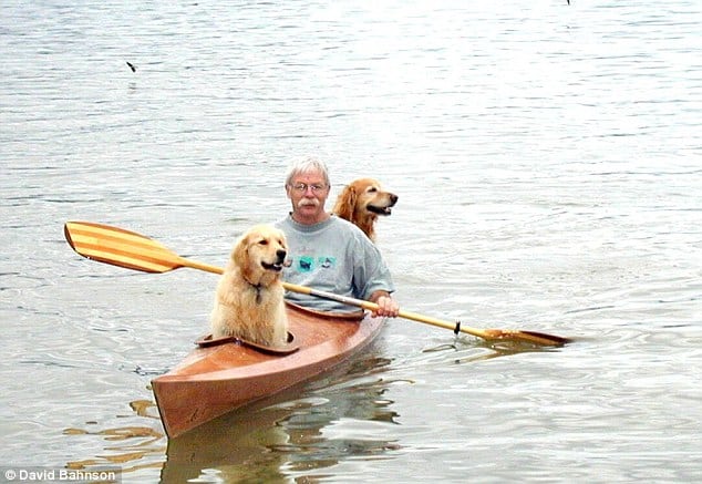 man with two dogs in kayak