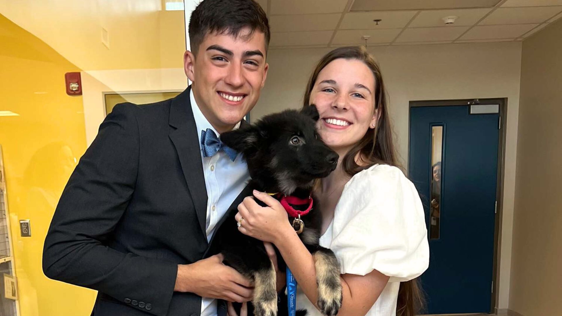 Marine Couple Living In Virginia Changes Their Wedding Plans To Adopt Their Dream Dog