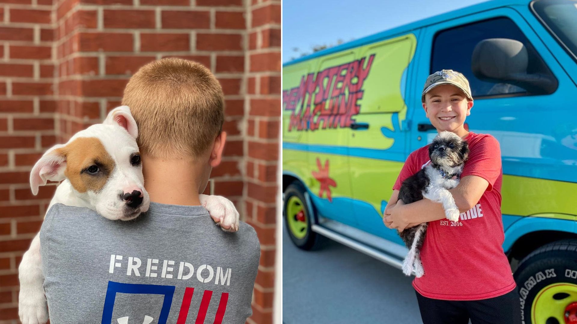 Meet 11-Year-Old Dog Whisperer Who Helped More Than 4,000 Dogs Find Their Home