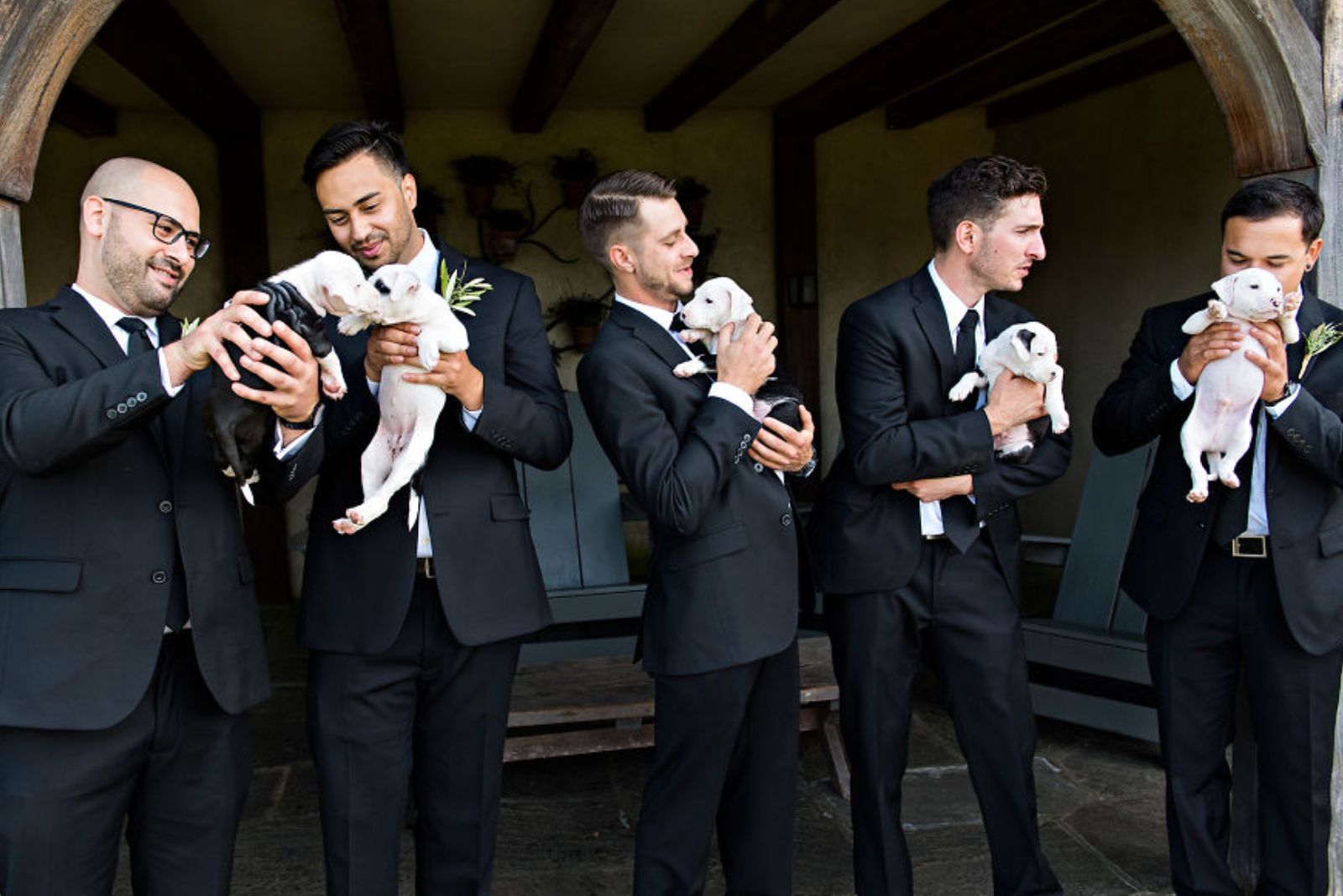 men wearing tuxedo and holding puppies