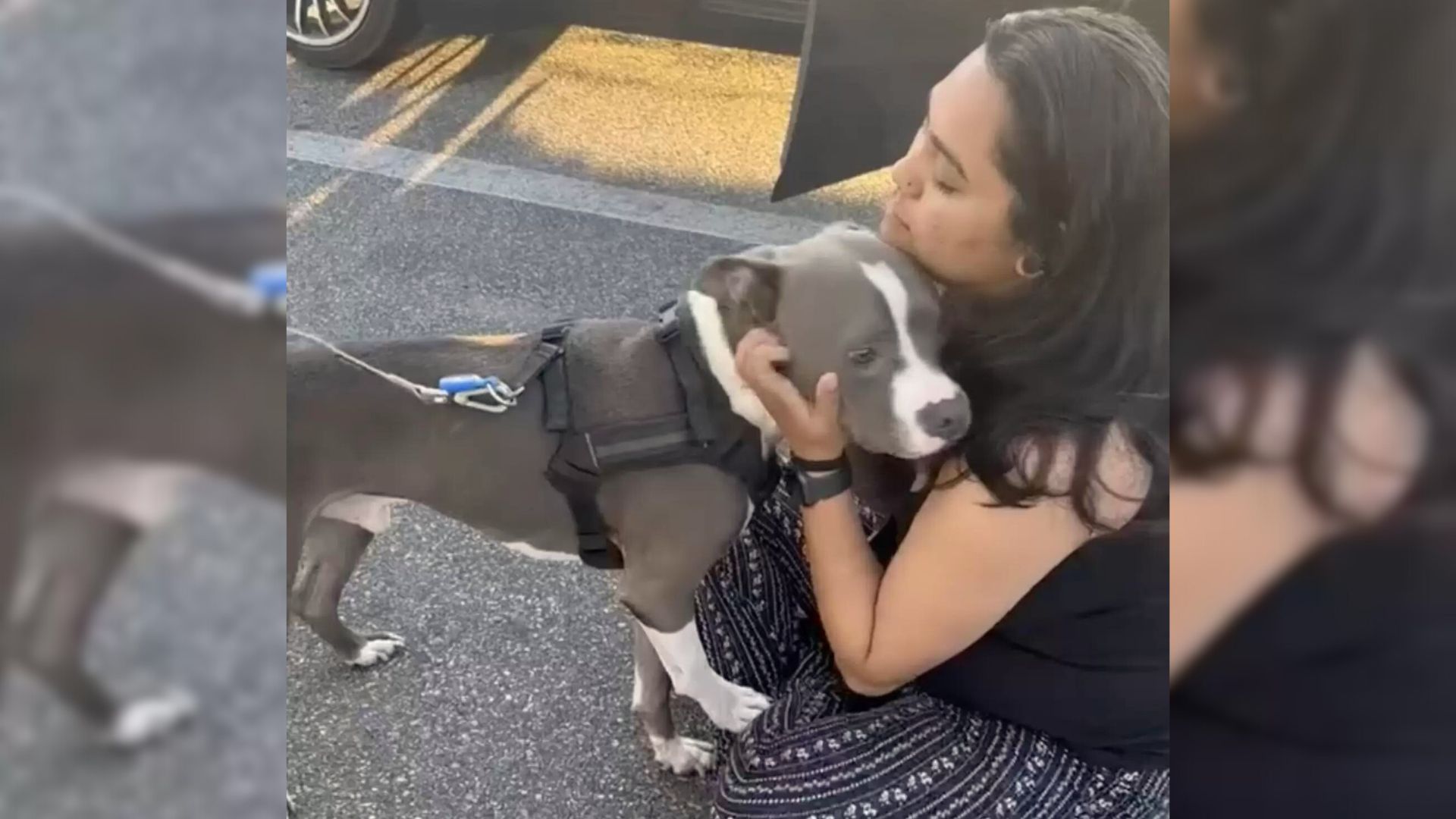 Pup That Was Missing For Two Years Has A Heartwarming Reunion With His Owner