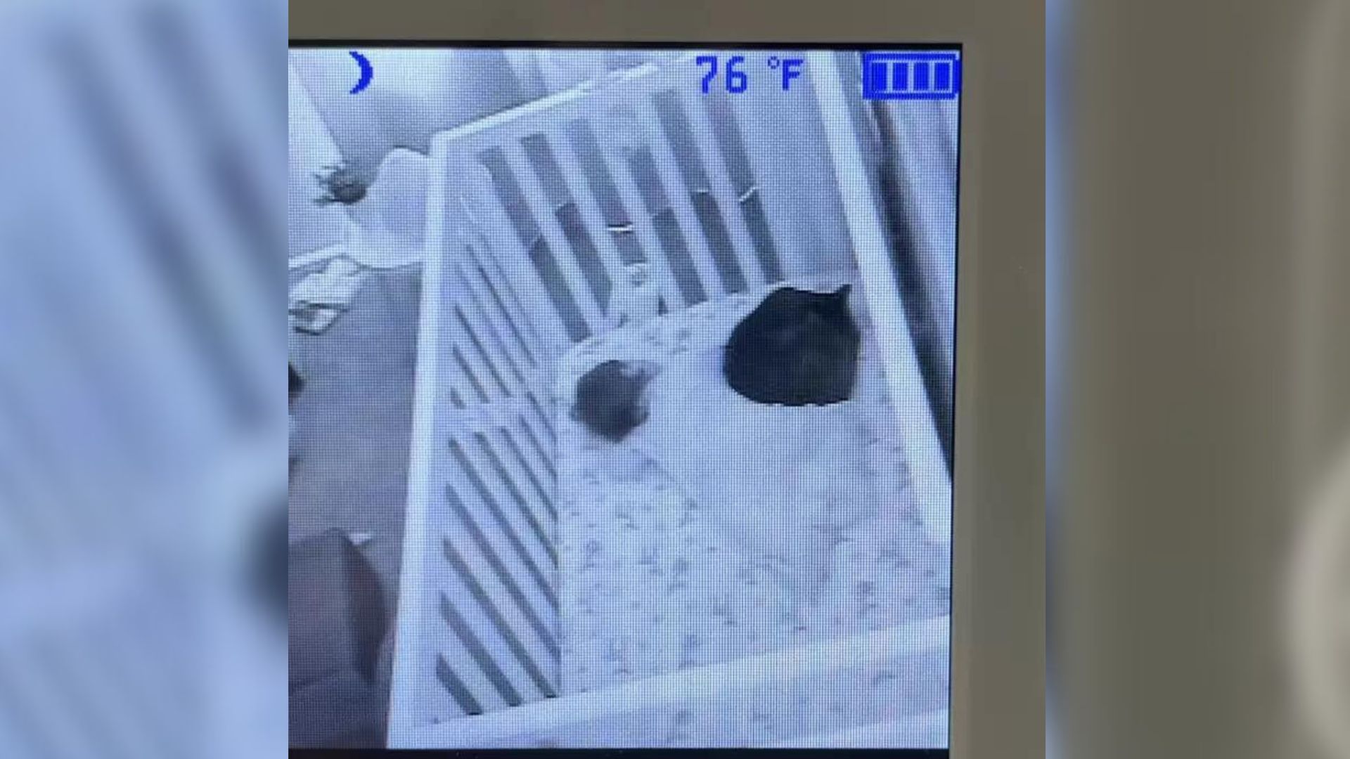 Woman Shocked To See A Strange Lump In The Crib Through The Baby Monitor And Rushes To Investigate