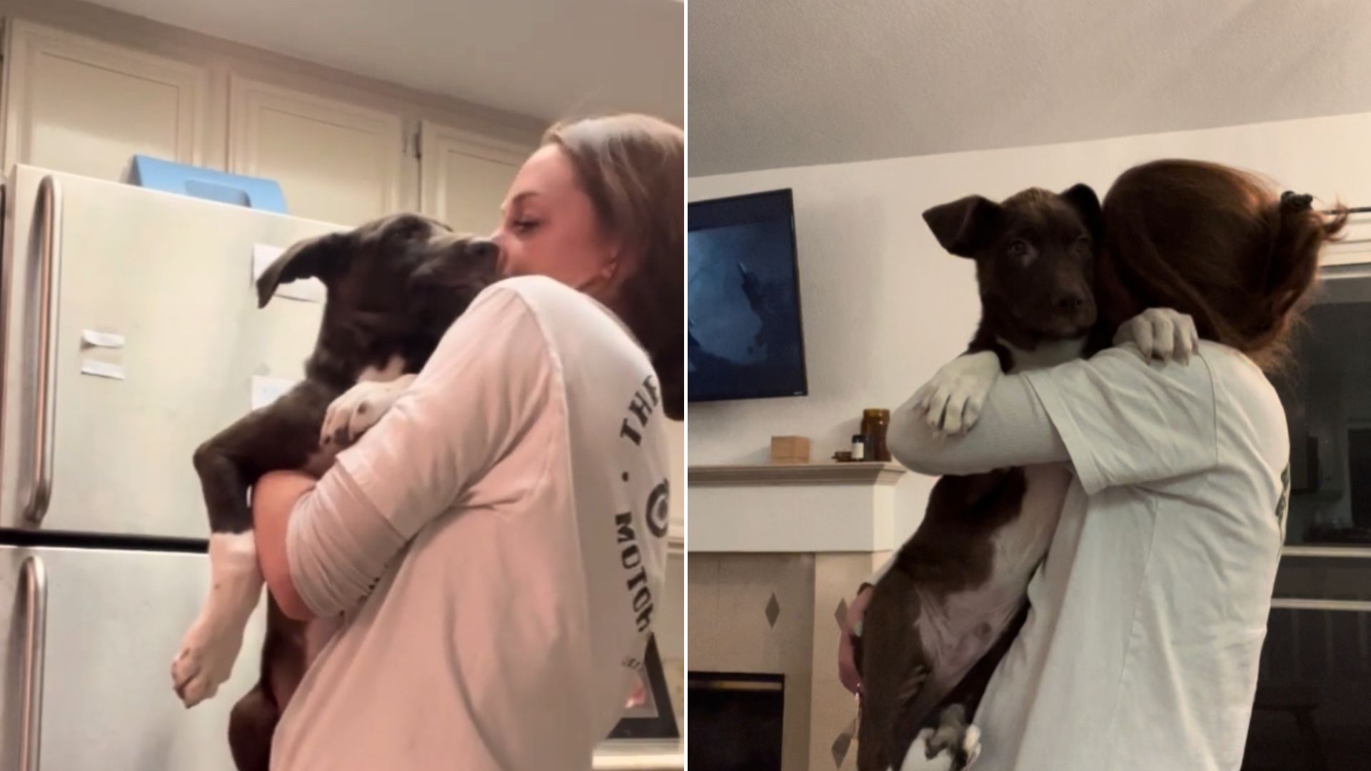 Scared Dog Managed To Finally Relax After Meeting His Wonderful Foster Mom