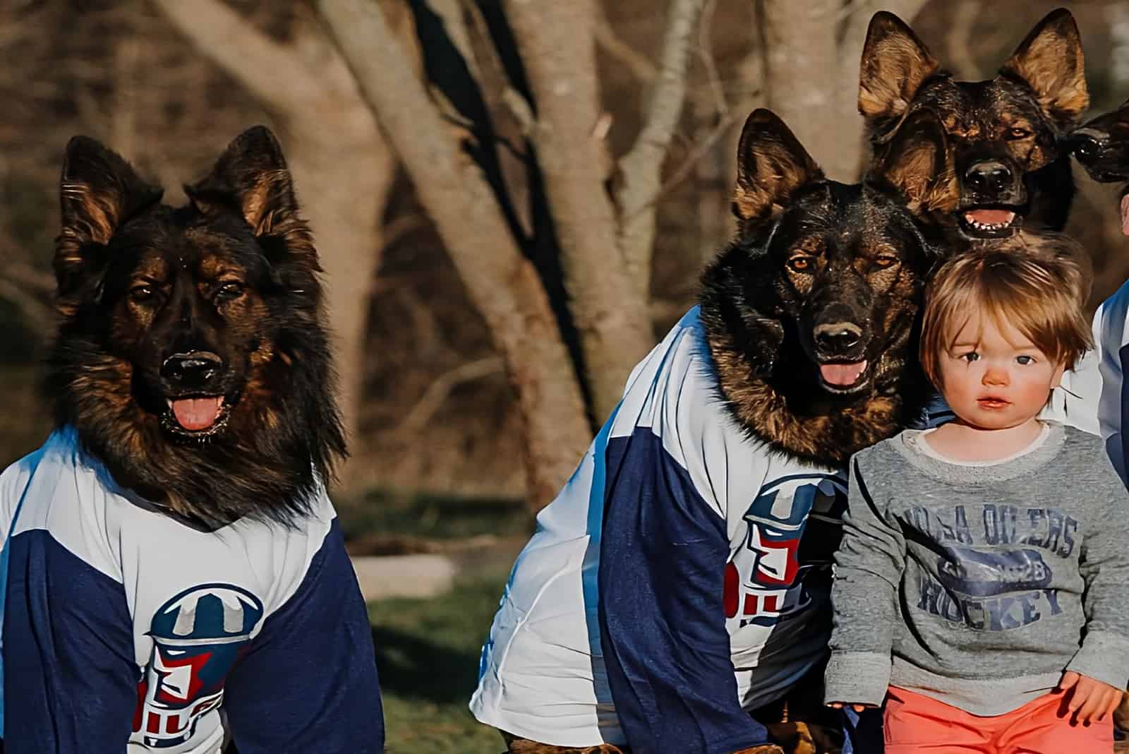 Nowadays, River and the German Shepherds are inseparable