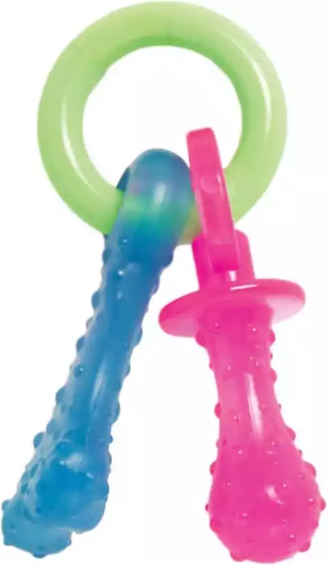 Nylabone Teething Pacifier