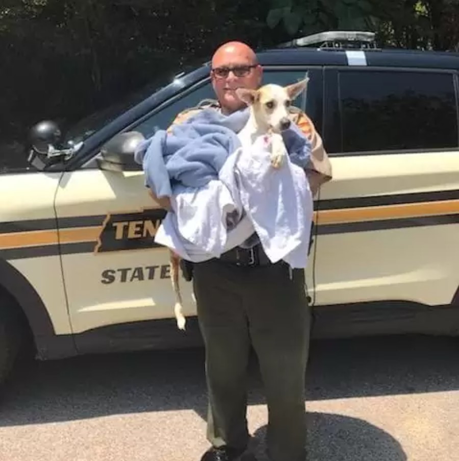 officer holding the dog wrapped in blanket