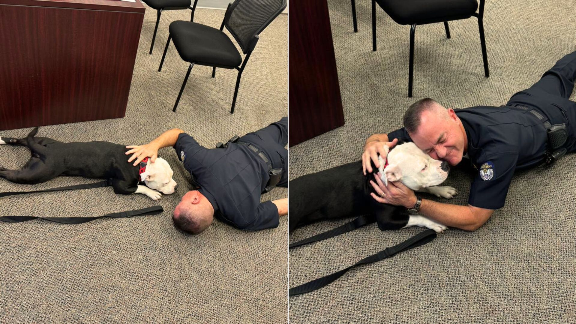 officer playing with dog