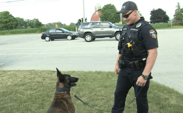 Chilling Out: Officers Rescue A Dog From A Burning House