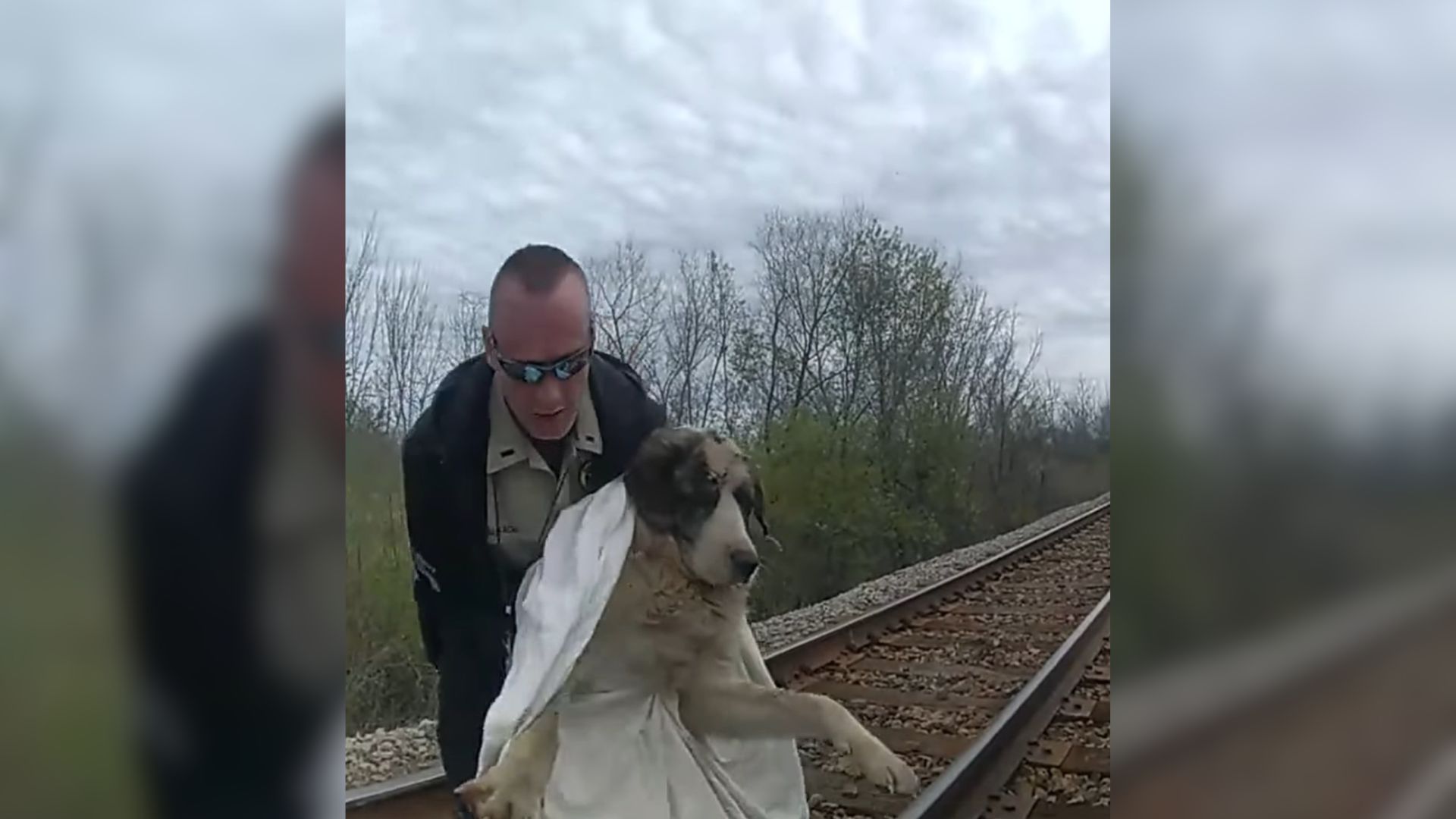 Officers Rush To Rescue Injured Dog Stranded On Tracks For Three Days After Being Hit By Train