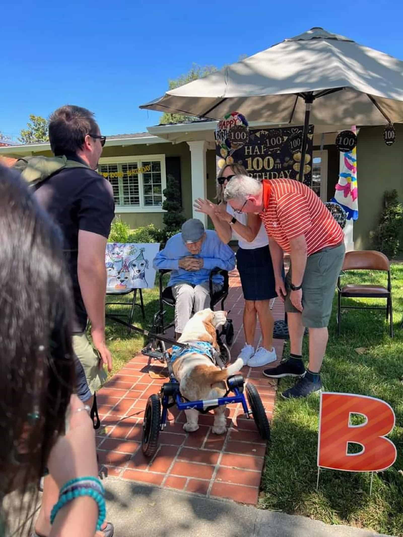 old man celebrating birthday looking at dog in wheelchair