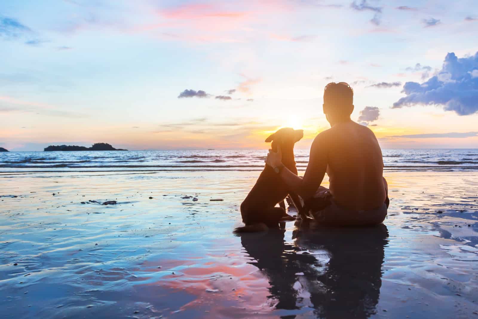 owner and dog sitting looking into distance