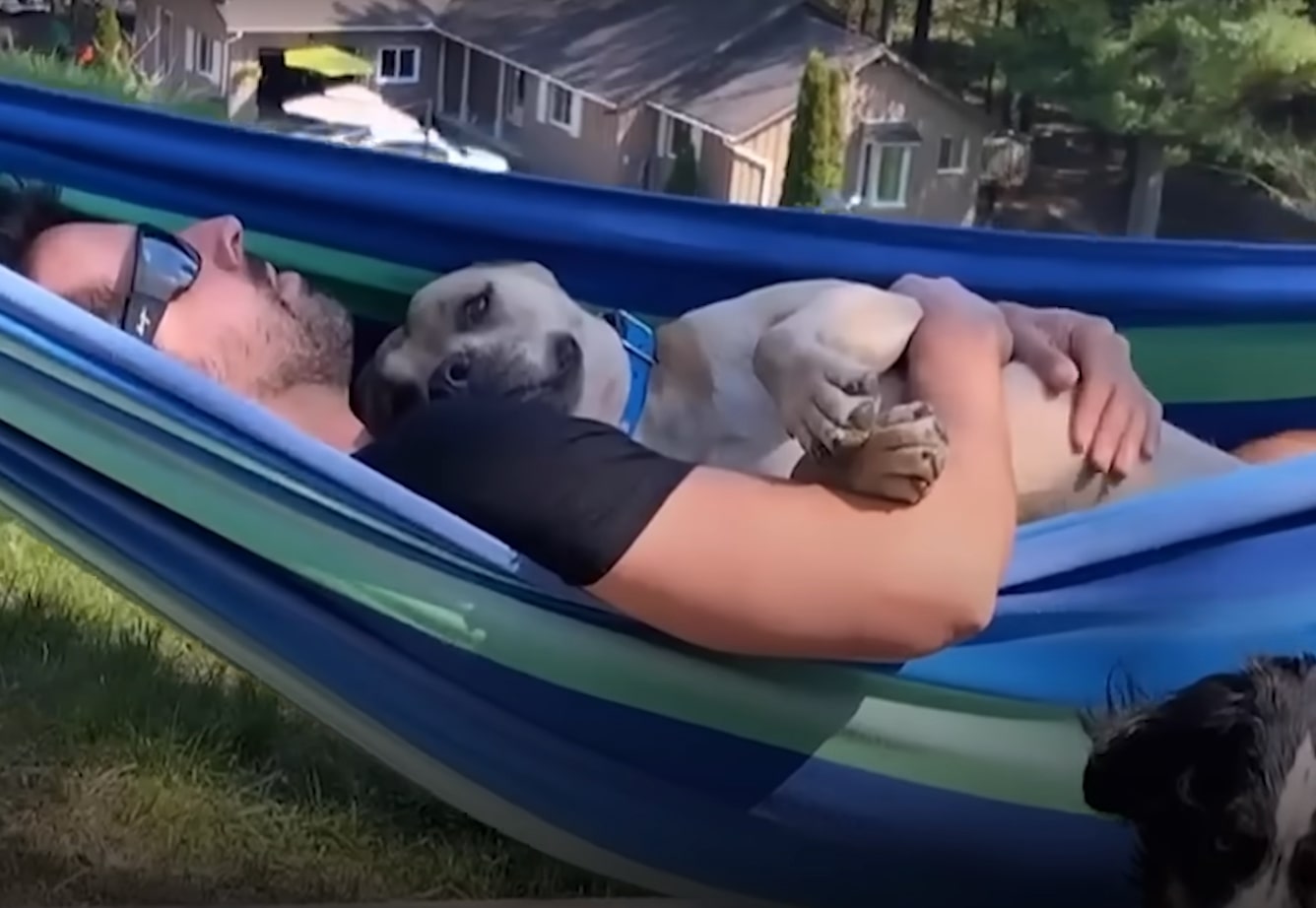 owner and dog sleeping in sleeping bag