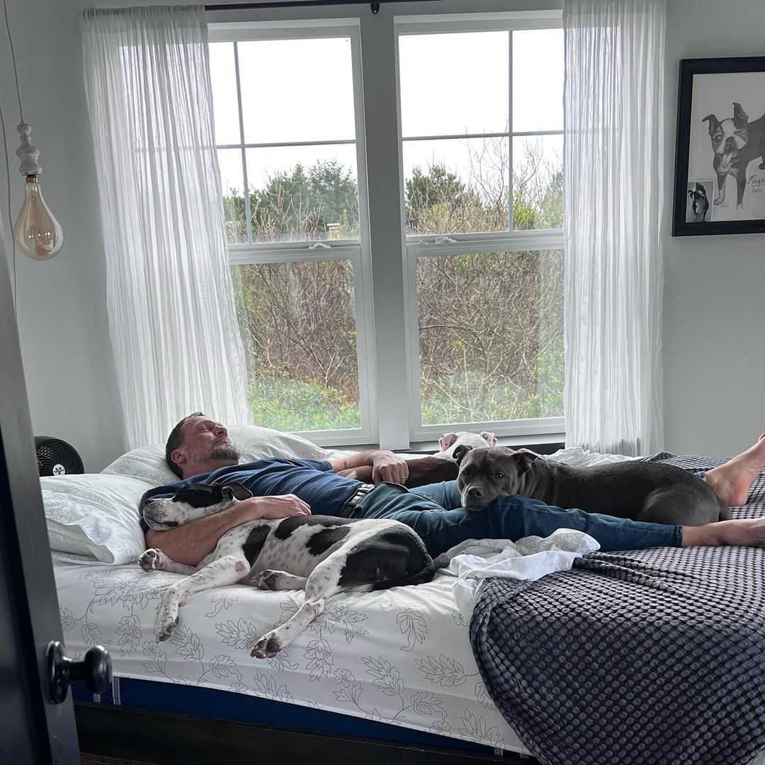owner and dogs laying together