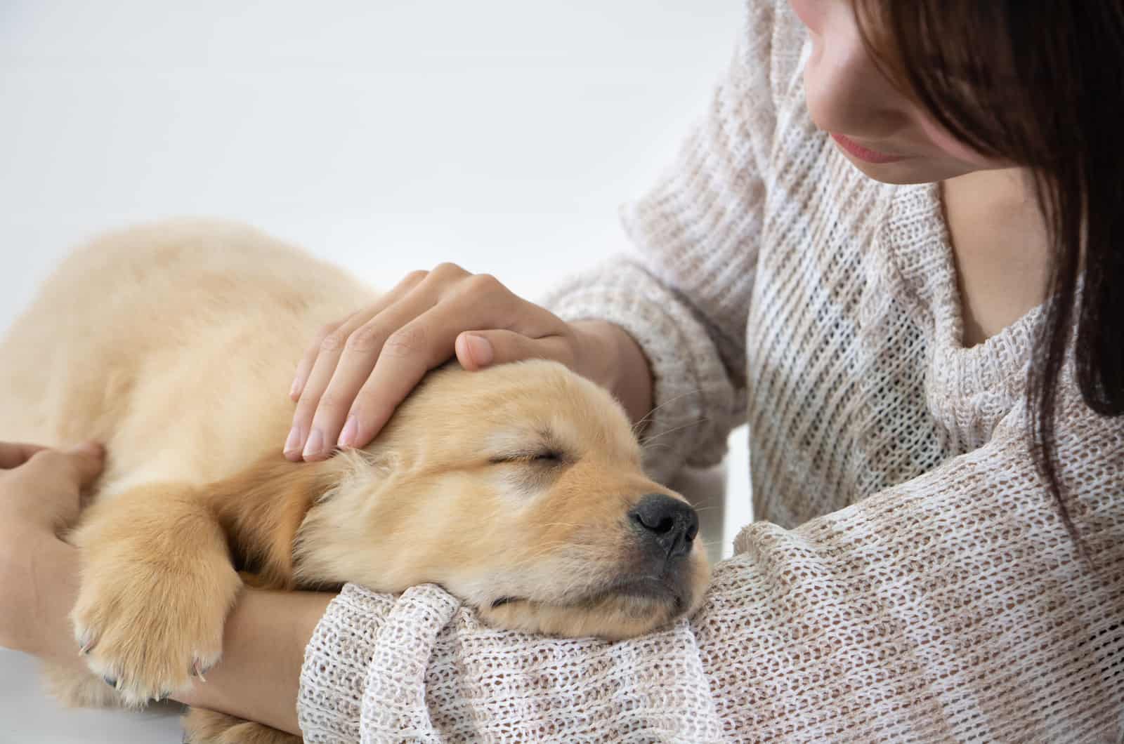 owner comforting golden retriever