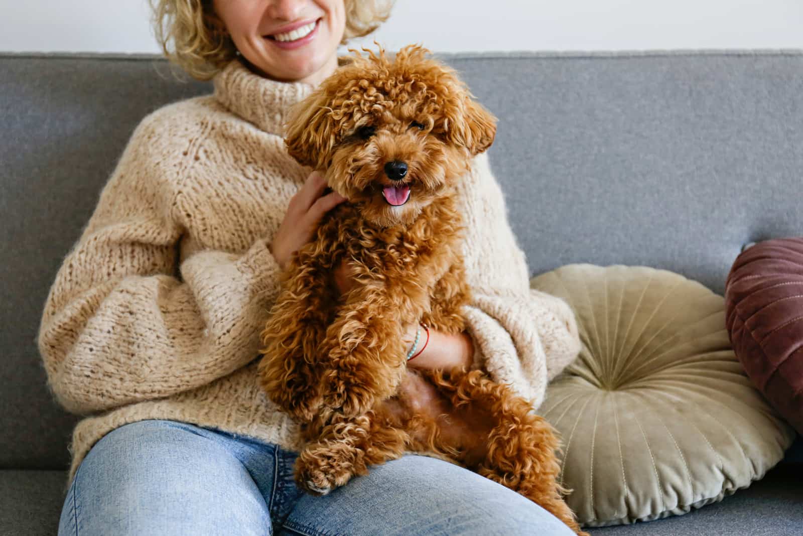 owner holding cute poodle