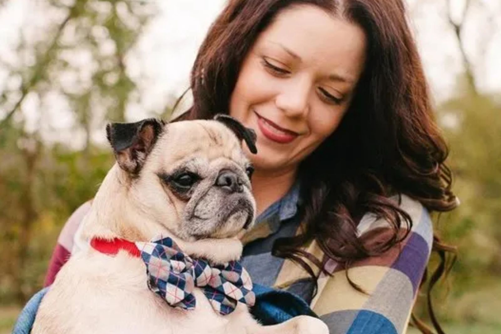 owner holding her pug