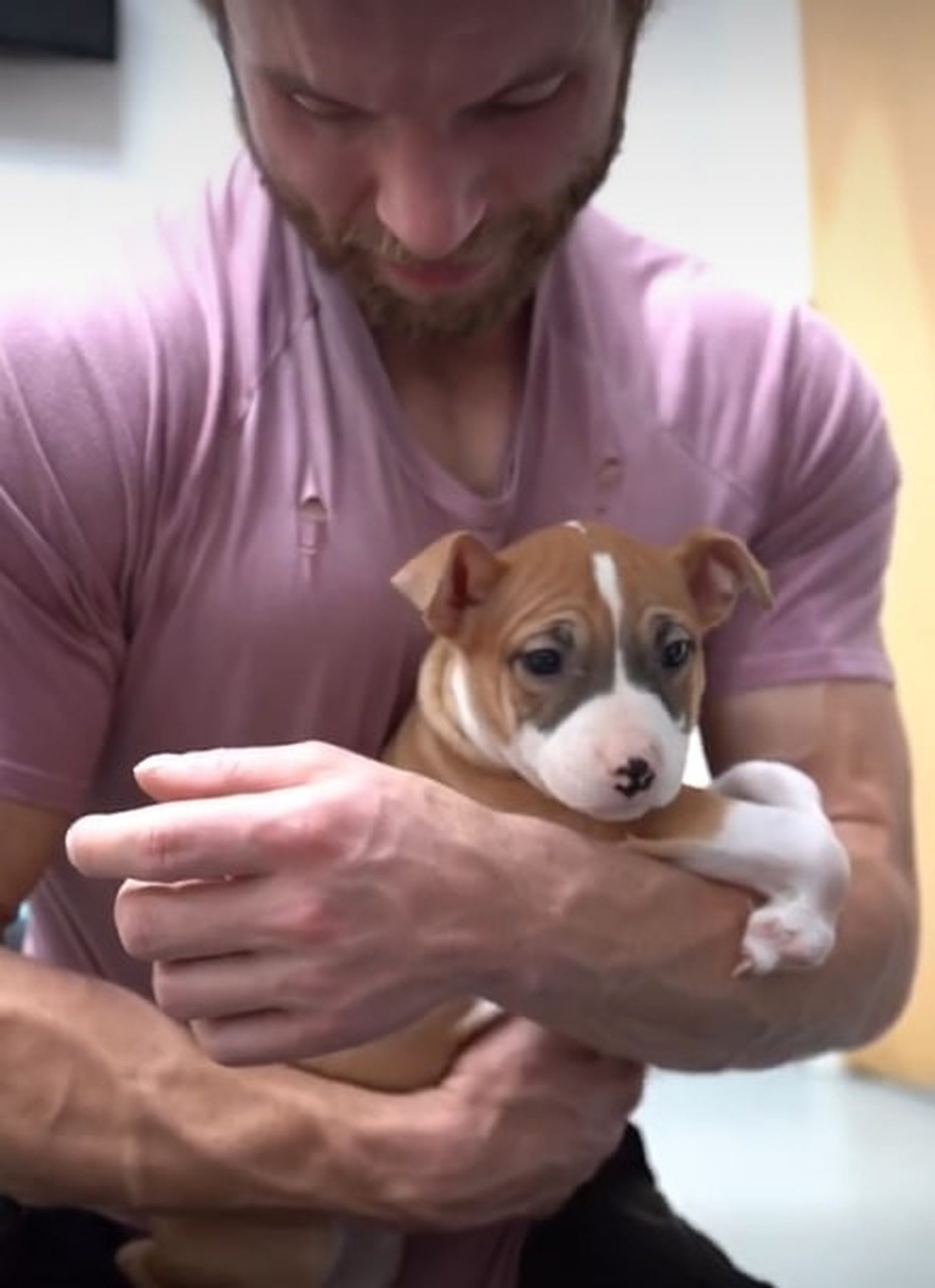 owner holding his cute puppy