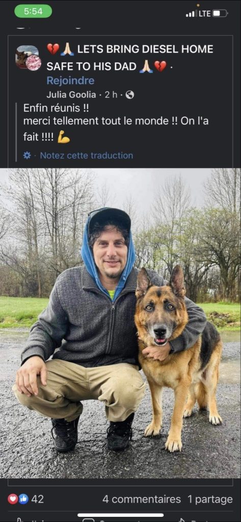 owner hugging his german shepherd dog after reunion