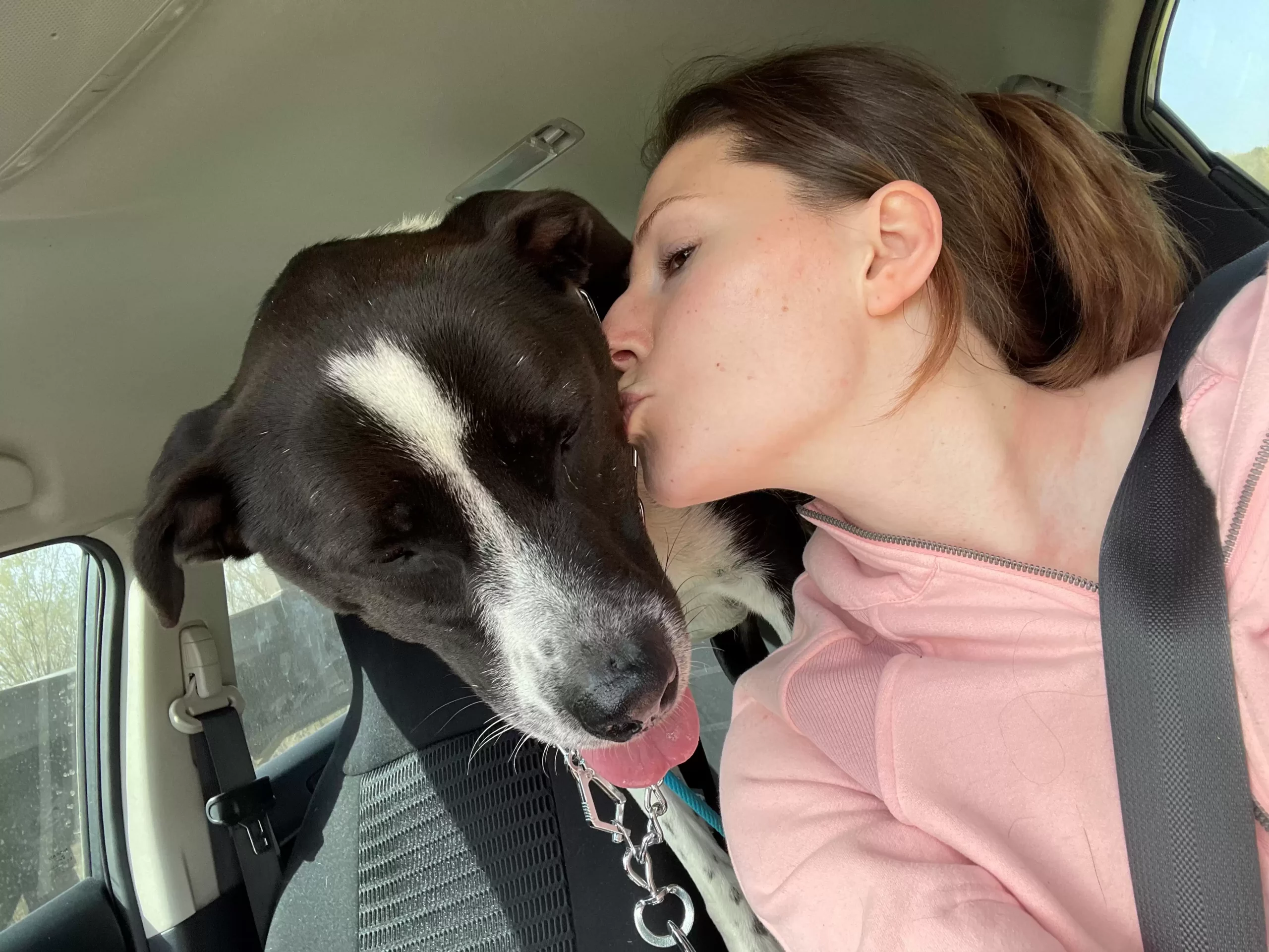 owner kissing the dog