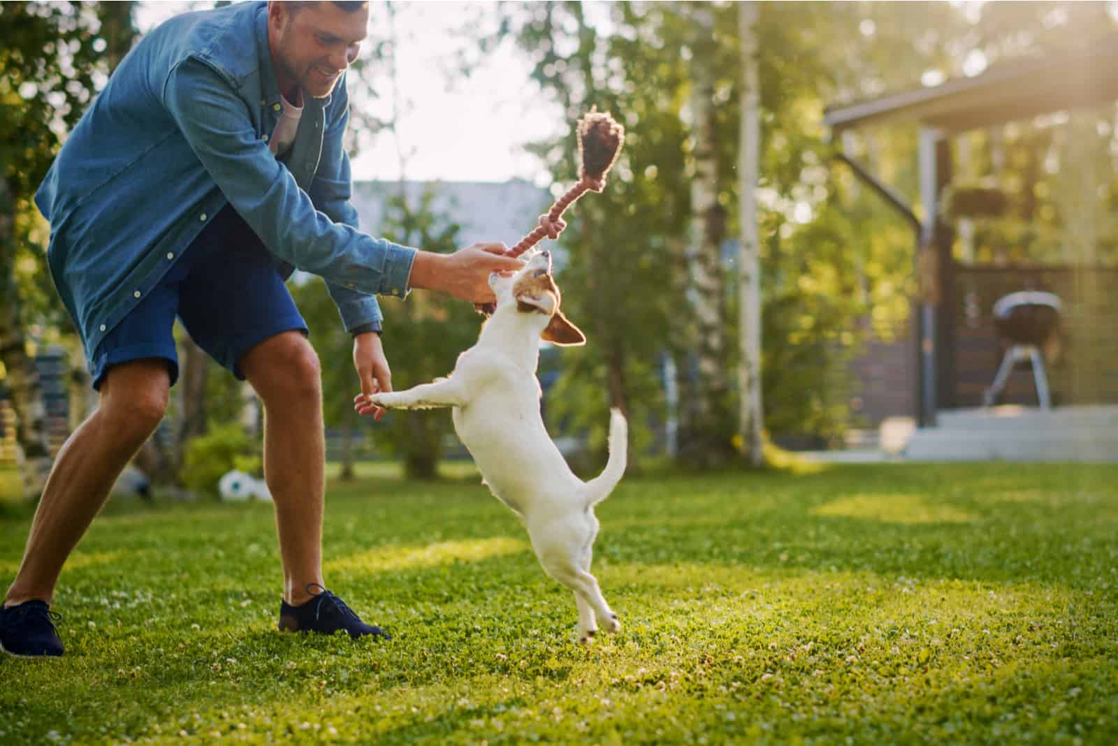 owner playing with puppy outside