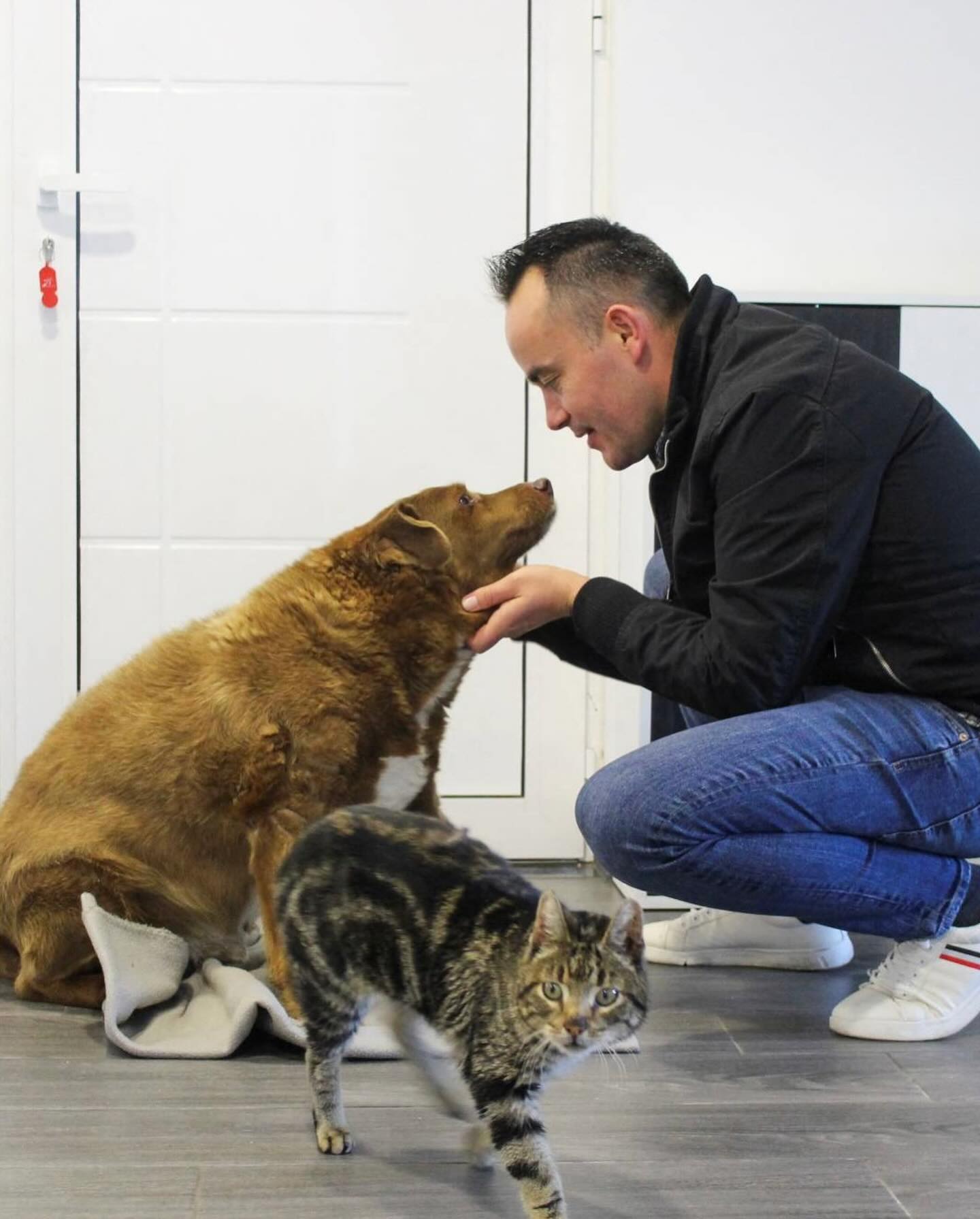 owner with his dog and cat