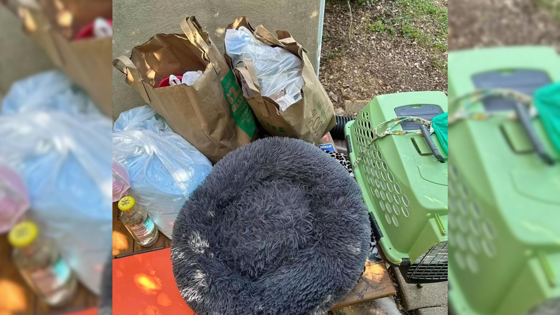 Dog Dumped In Front Of A Shelter In Virginia With The Most Heartbreaking Note