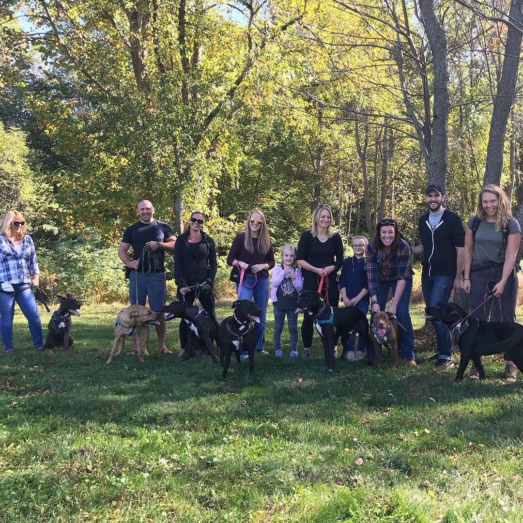 owners with their dogs in nature