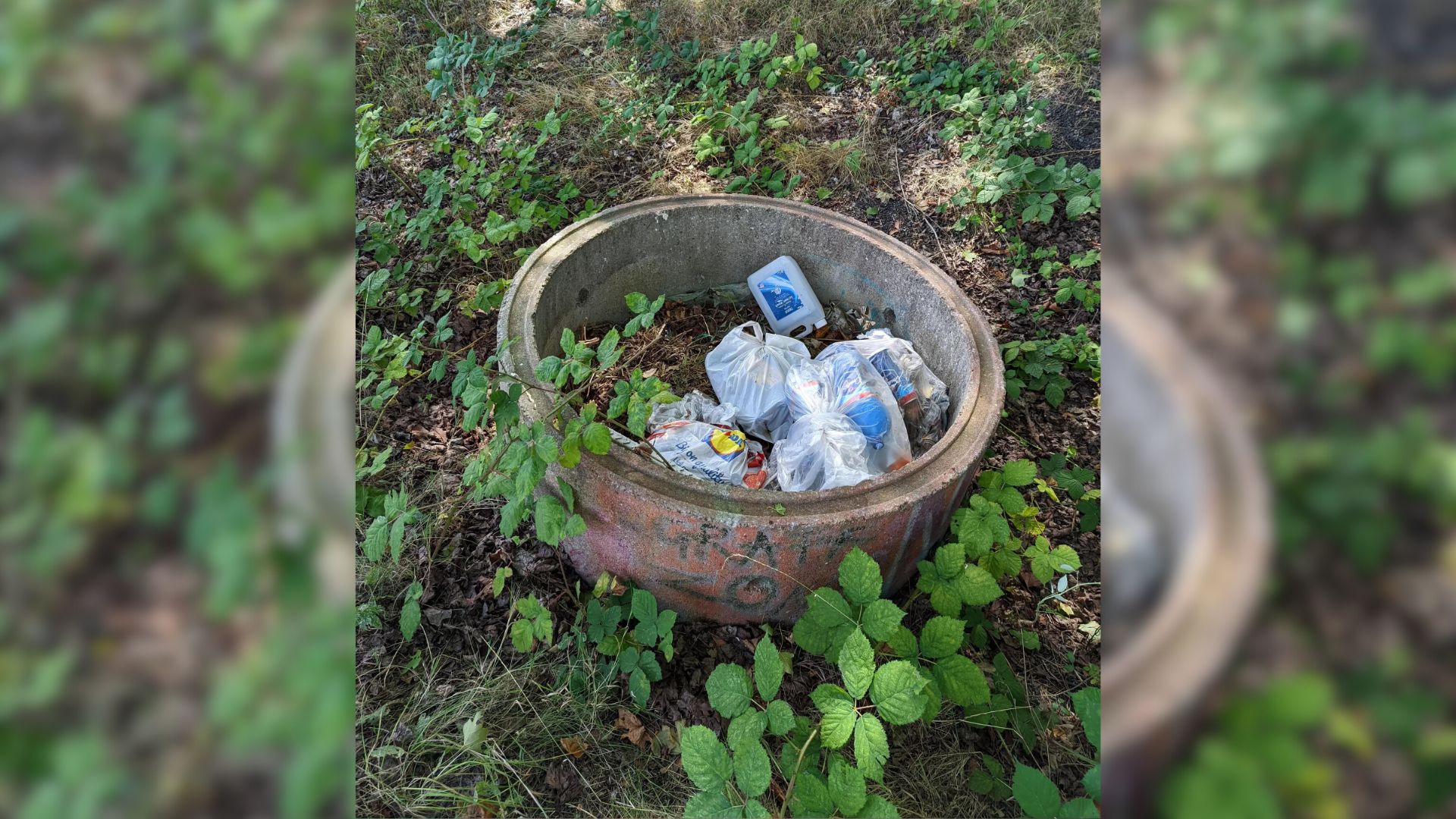 A Passerby Couldn’t Believe His Eyes When He Saw An Owner Dump His Special Needs Puppy Into Garbage