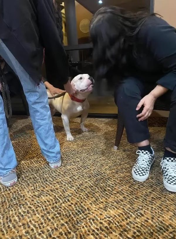 people and sweet white dog