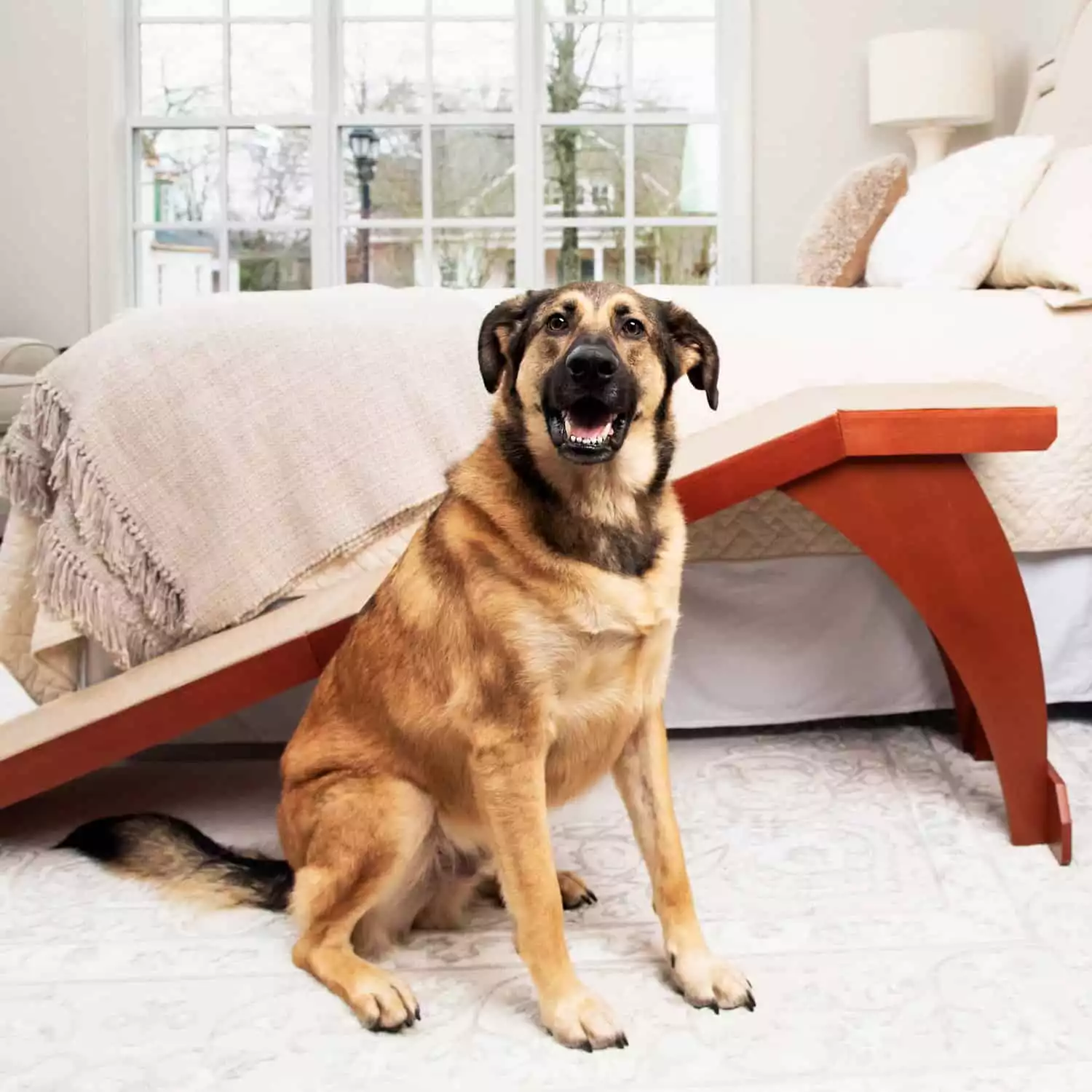 PetSafe CozyUp Bed Ramp