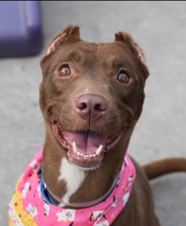 photo of a happy Sandy