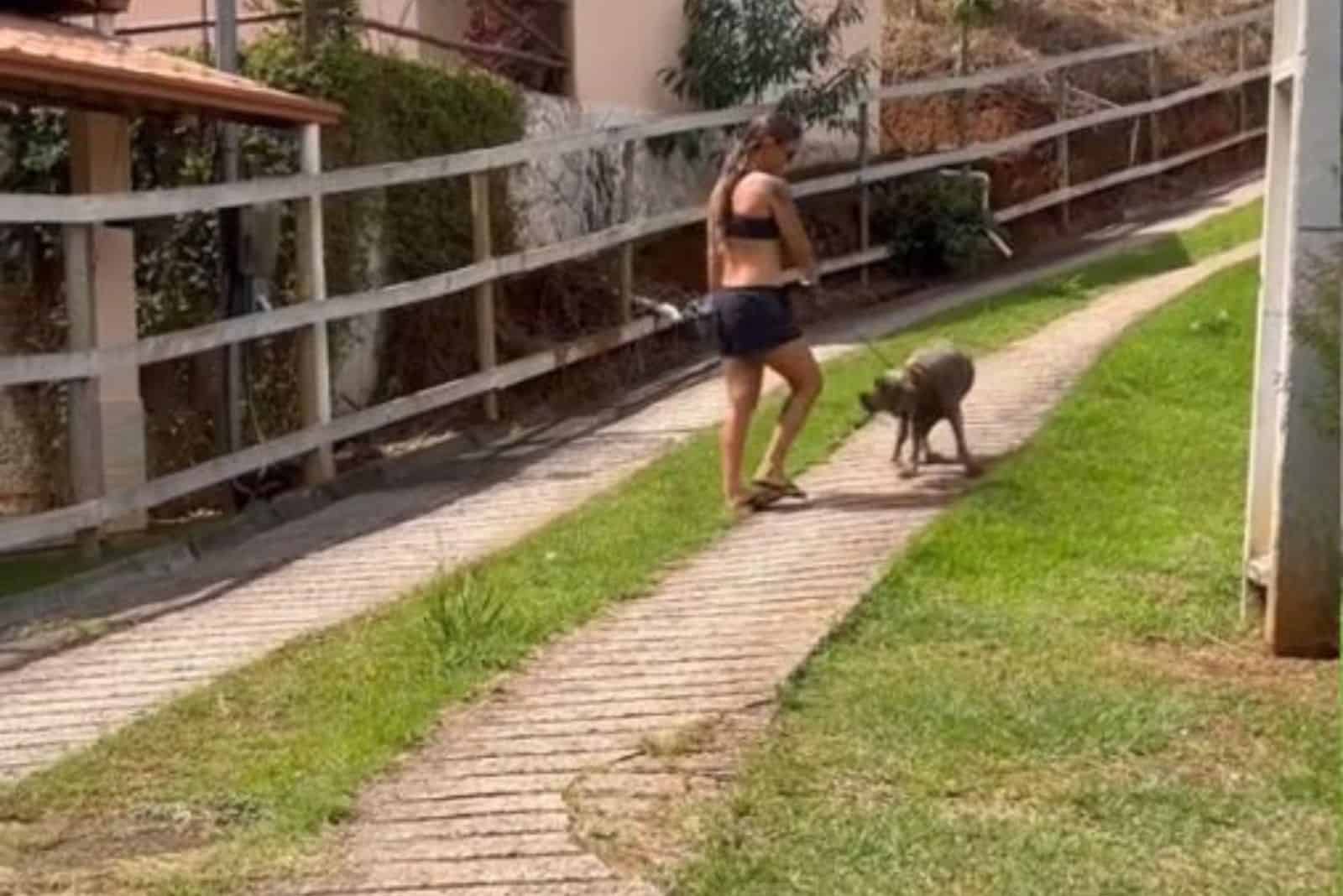 photo of a woman walking Xena the abandoned dog