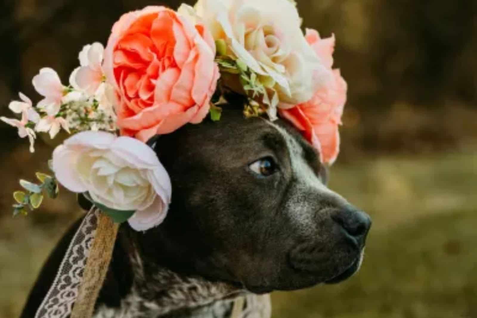photo of Adira with a flower crown