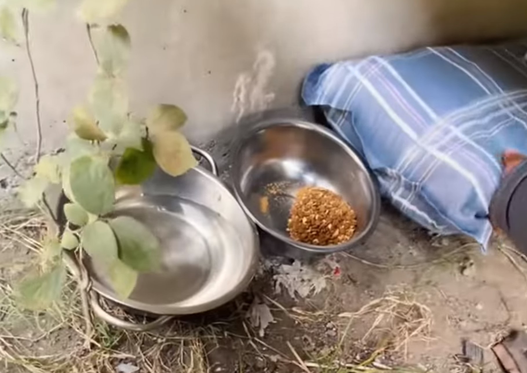 photo of bowl of water and bowl of food