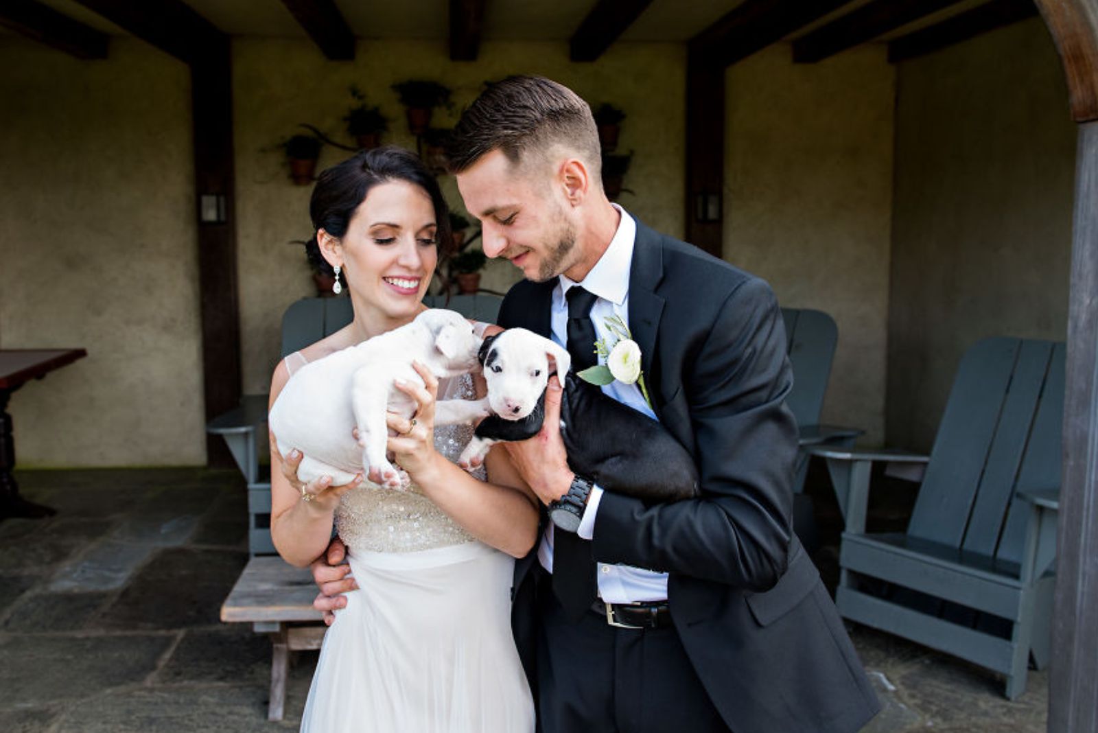 photo of bride and groom holding the puppies