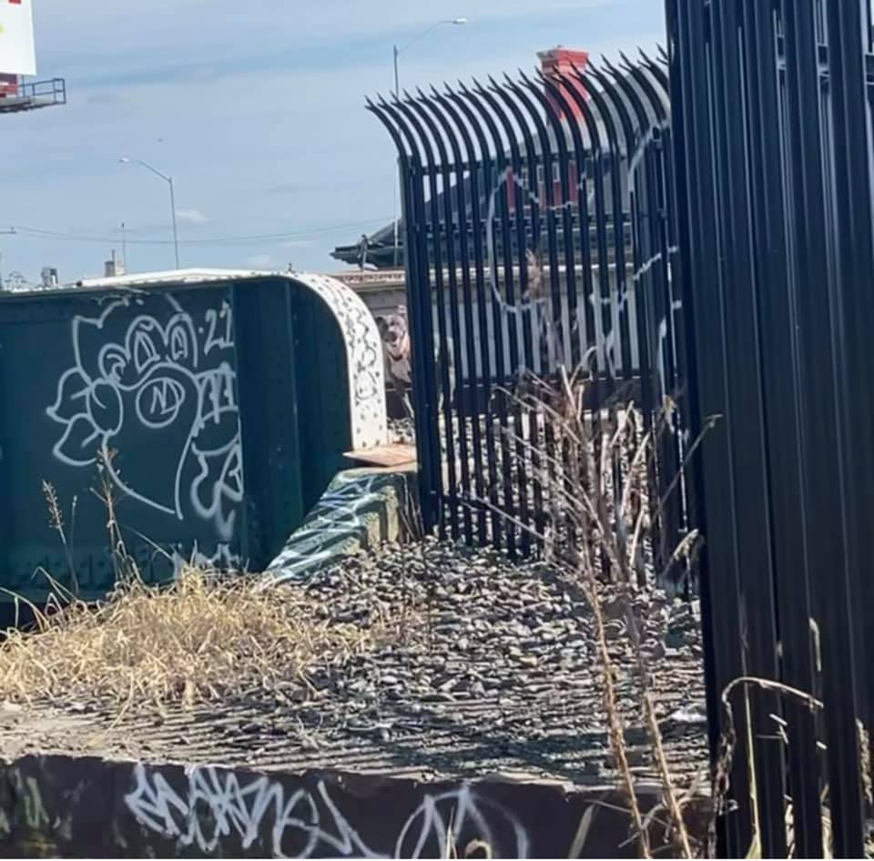 photo of dog by the fence