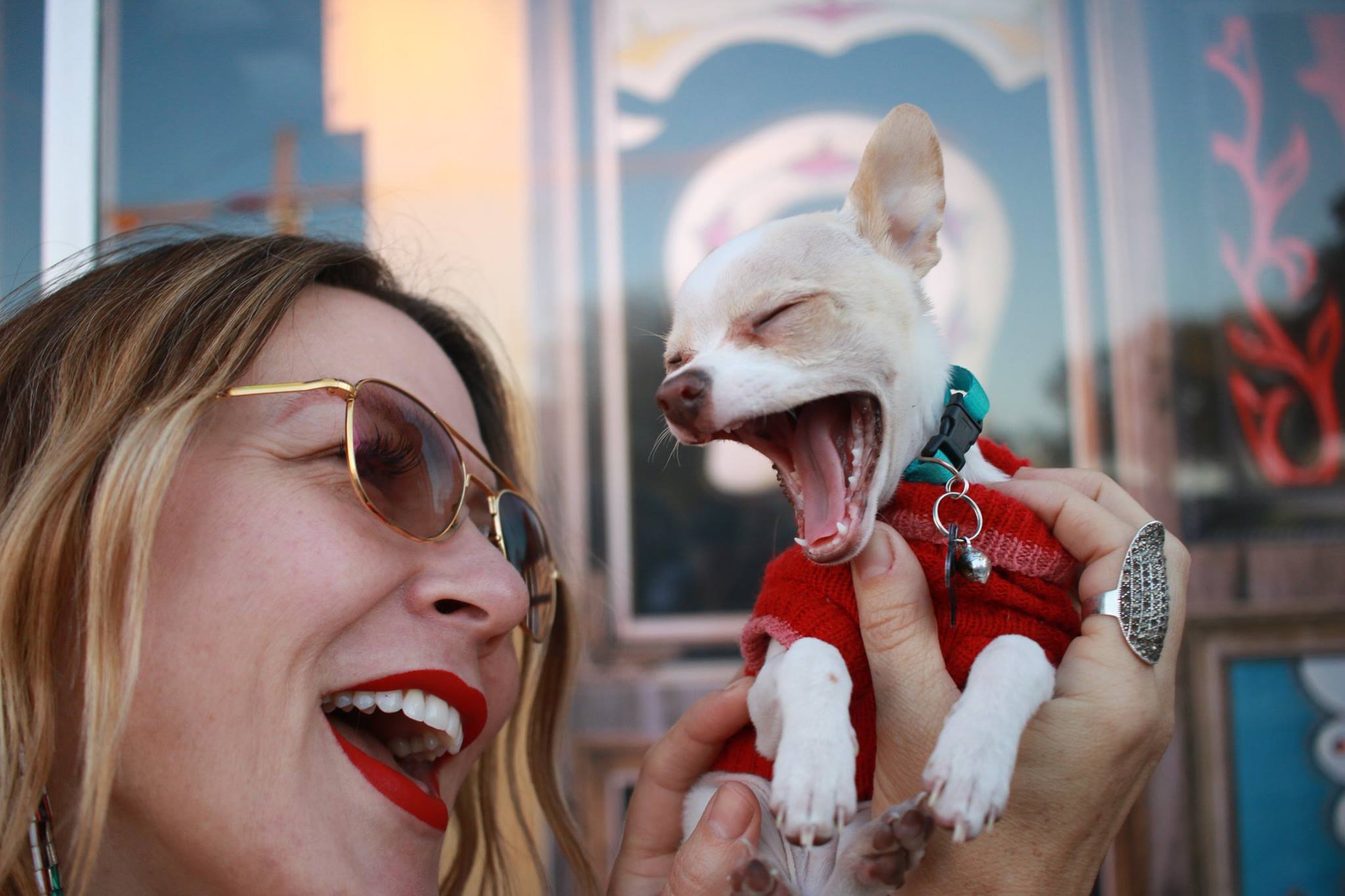 photo of happy woman holding tiny puppy