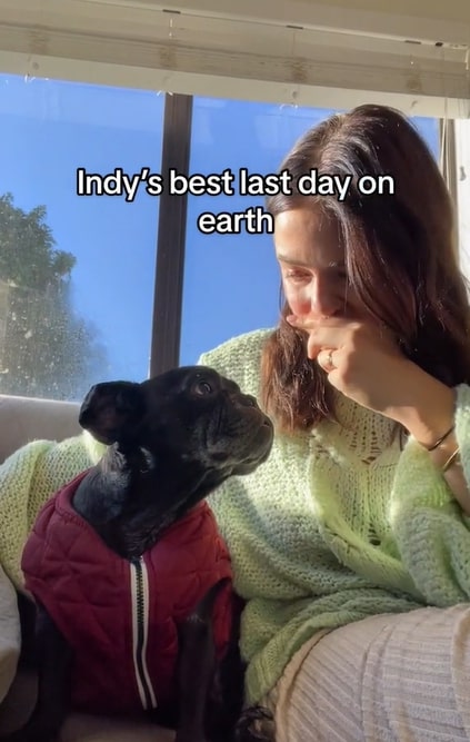 photo of Holly and her french bulldog Indy