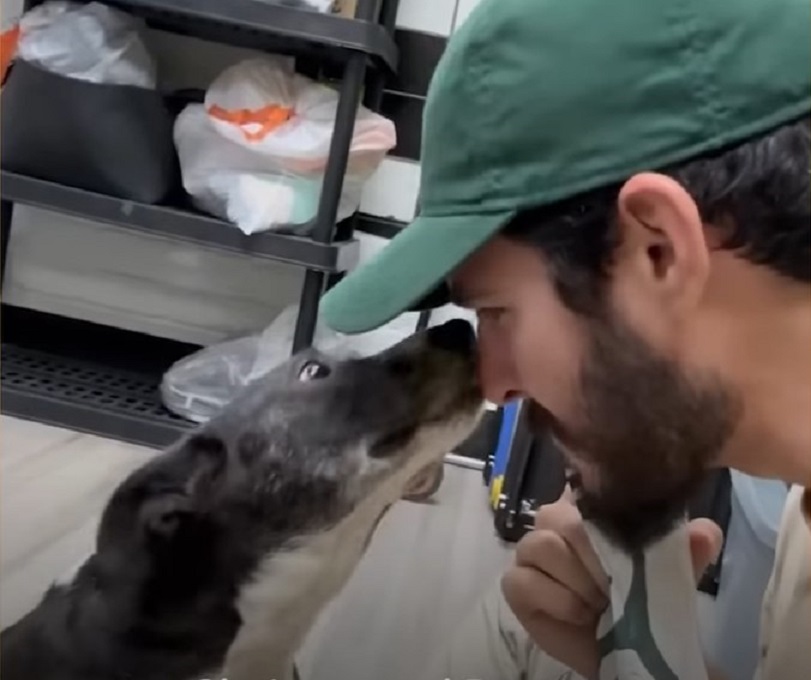 photo of man and the stray dog