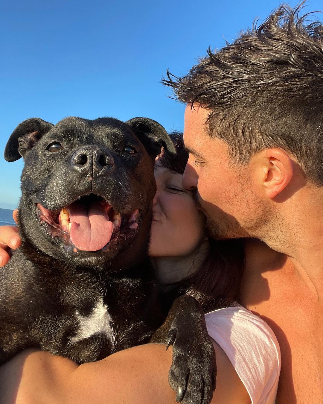 photo of man and woman kissing the dog