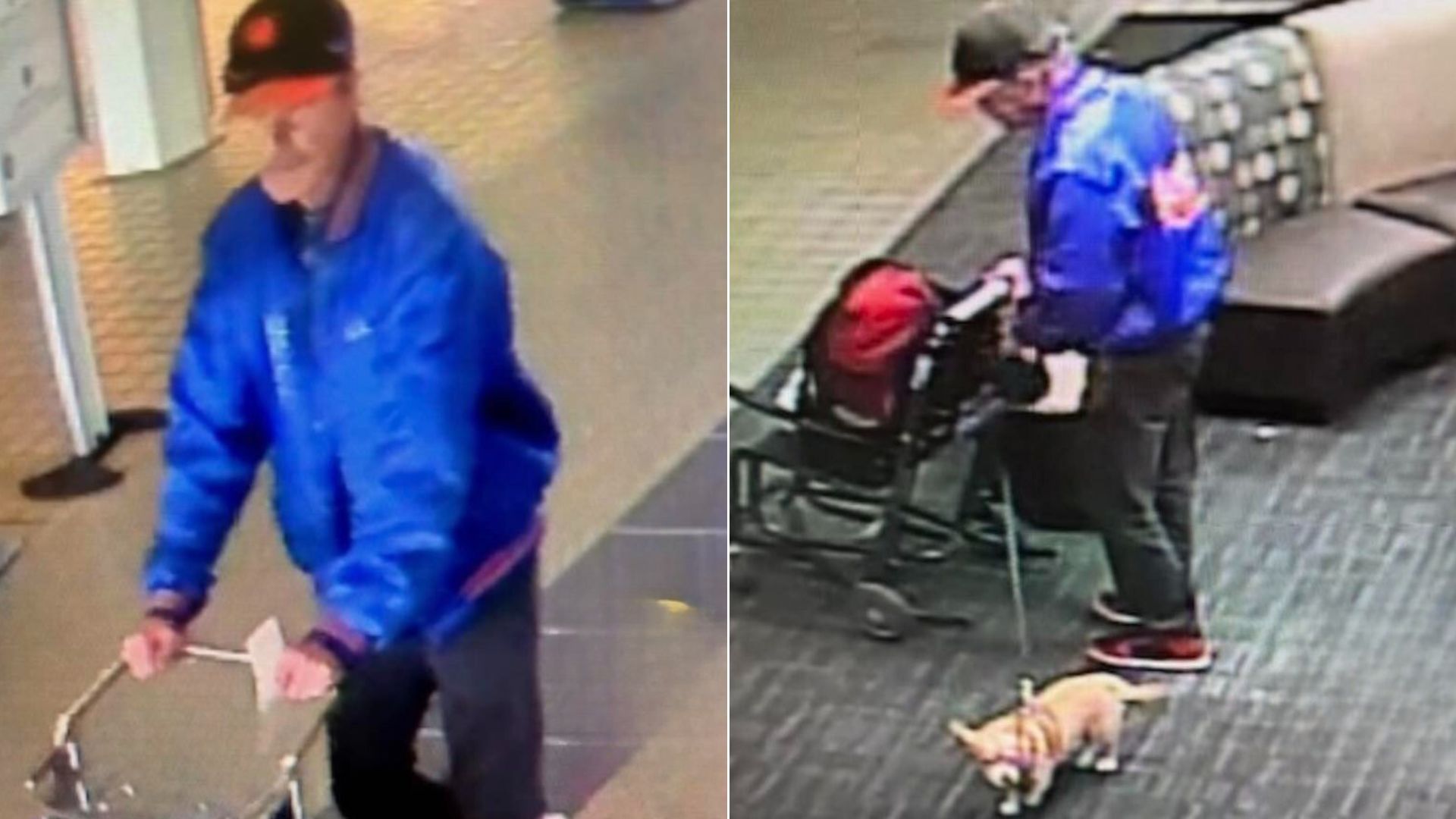 photo of man at the airport with dog