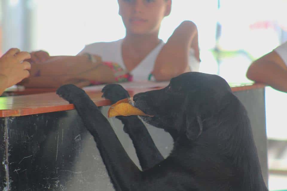 Photo of Negro at the store counter