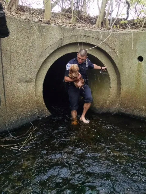 photo of officer and dog cece walking out of a tunnel