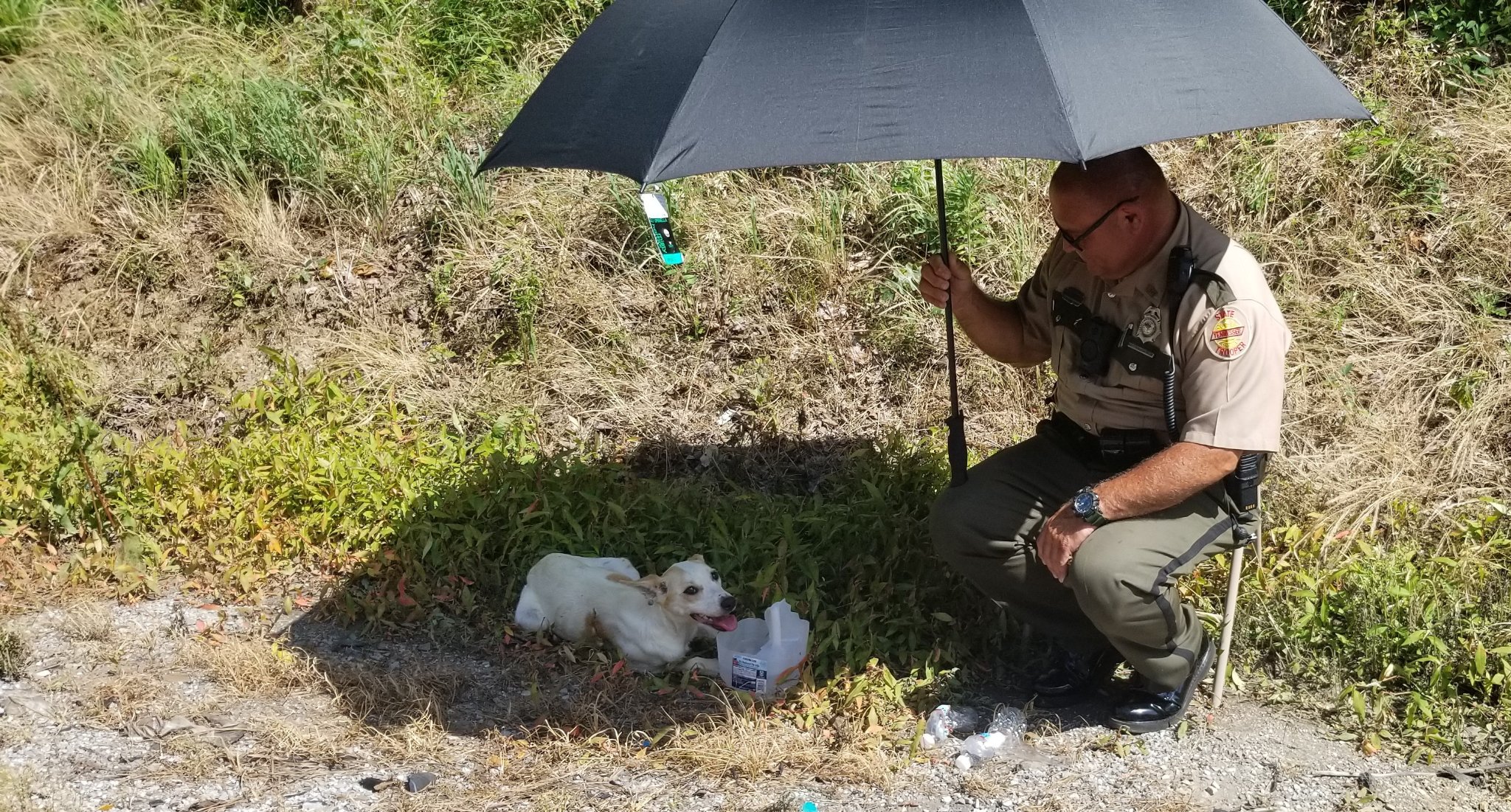 photo of officer holding an umbrella for a dog lying in the grass