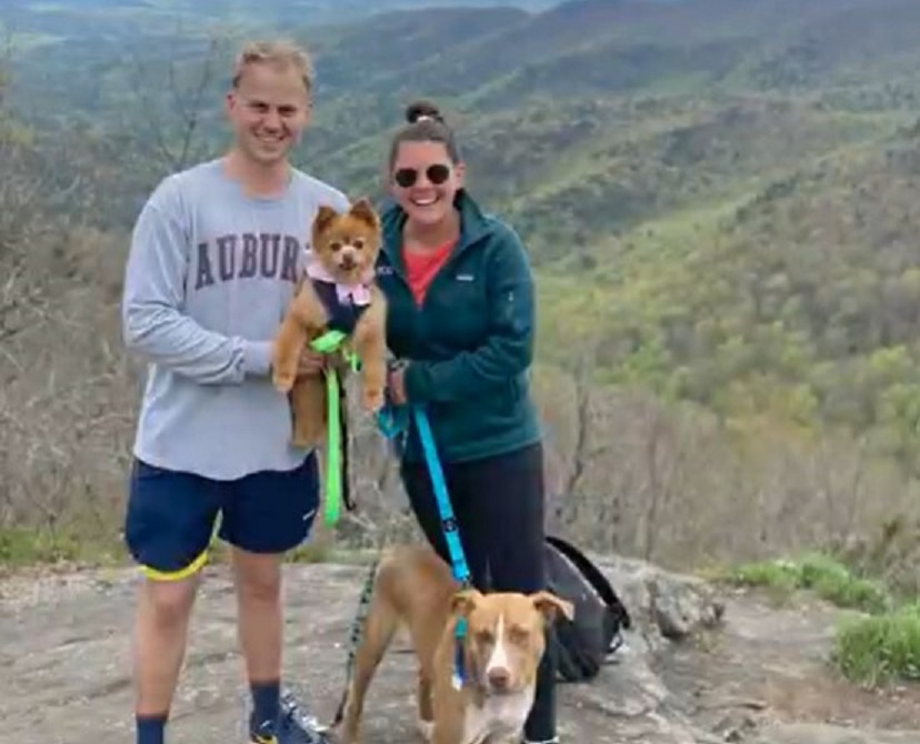 photo of pittie wally with his new family