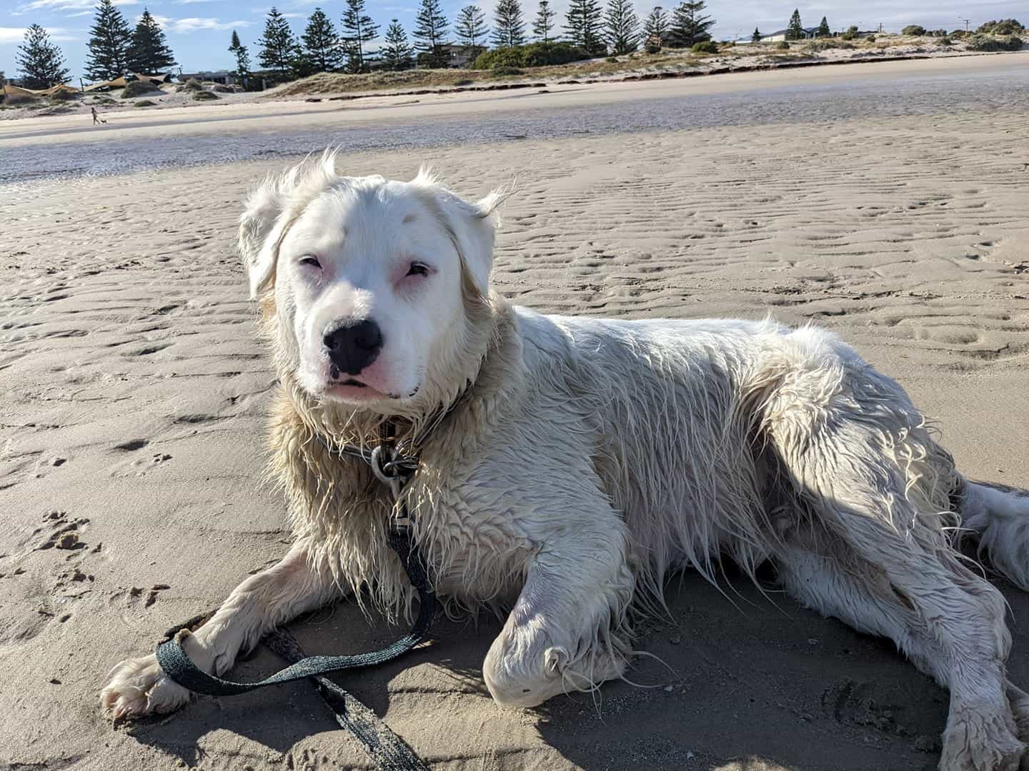 photo of Sherio at the beach