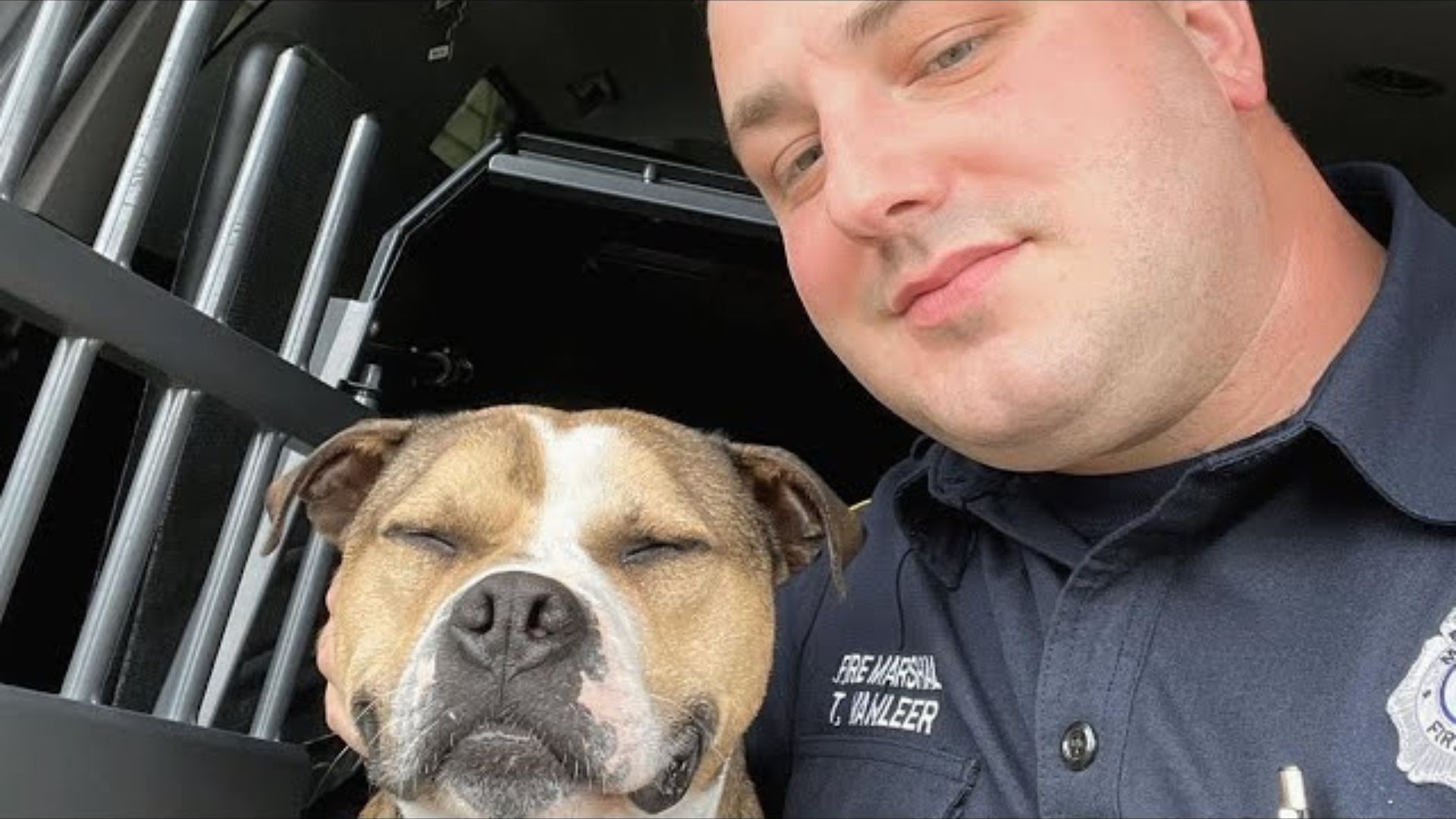 Pit Bull Who Was Saved From Dog Ring Becomes First Arson-Detection K9 Officer