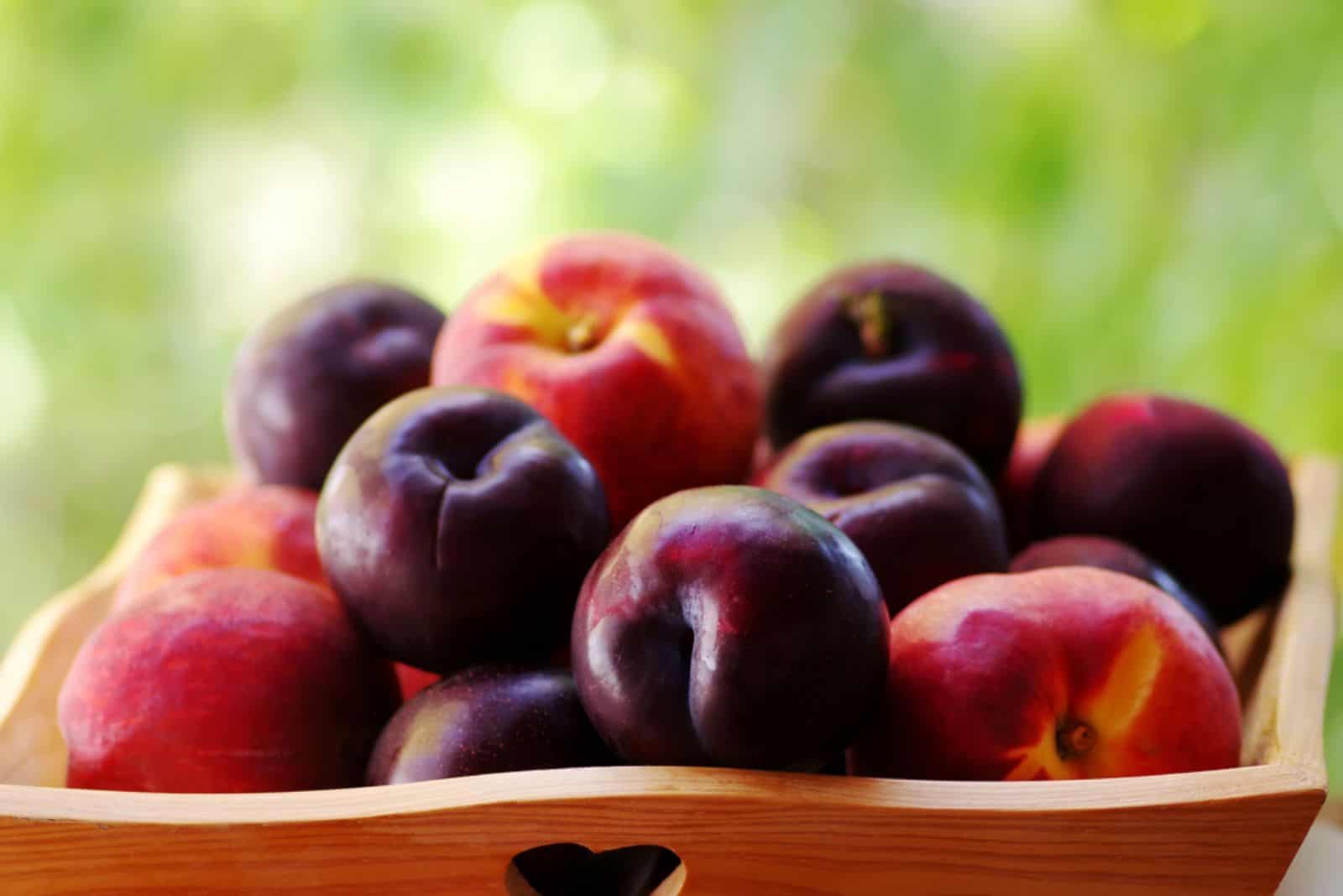 plums and peaches in wooden basket