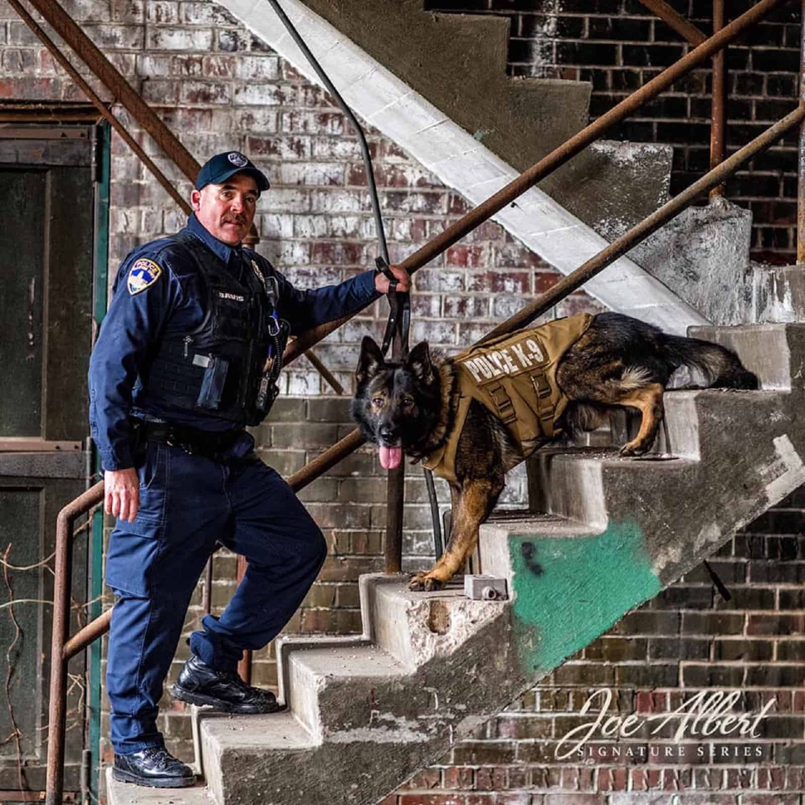 police officer and german shepherd dog standing on stairs