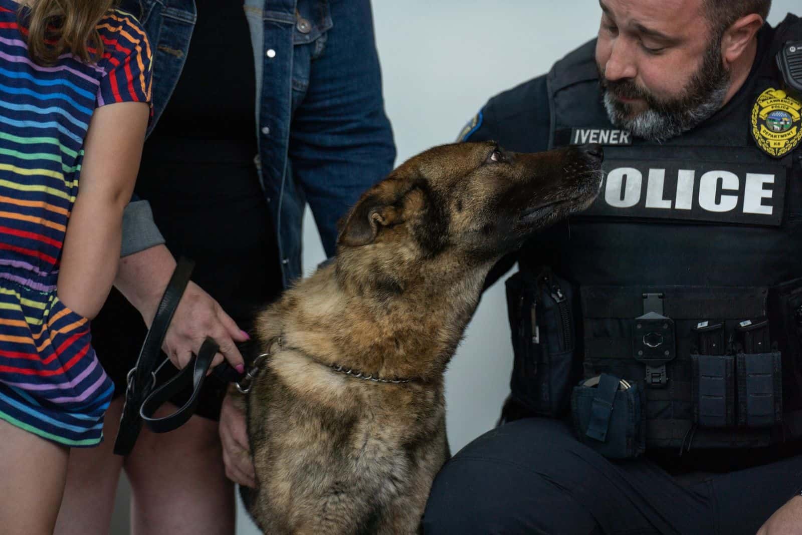 police officer and german shepherd dog looking at each other